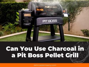 Can You Use Charcoal in a Pit Boss Pellet Grill