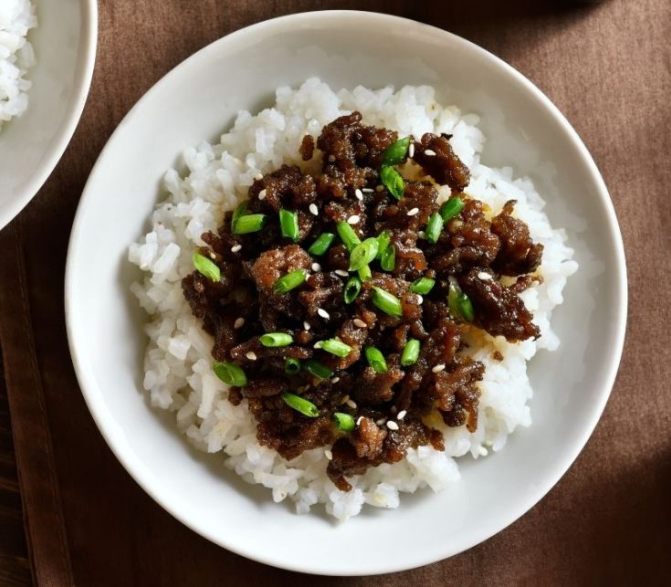 Vietnamese Caramelized Ground Beef with Rice